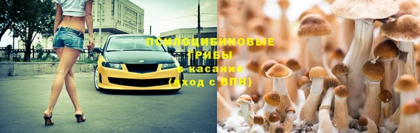 прущая мука Пролетарск