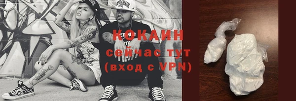 твердый Абаза