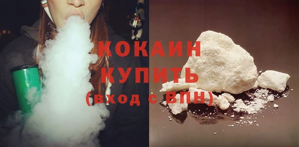 твердый Абаза