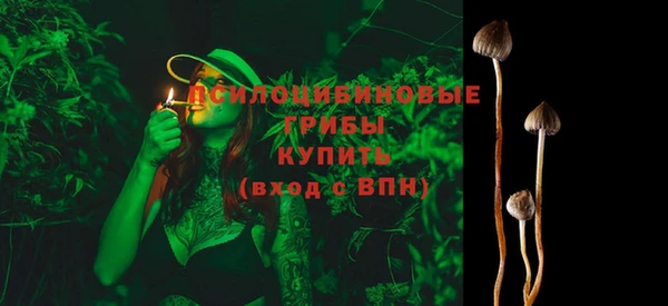 стаф Абдулино