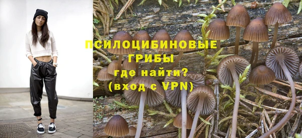прущая мука Пролетарск