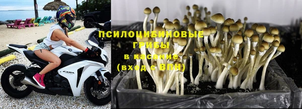 дмт Абинск